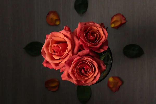 Три Красивые Розы Цветут Цветочные Композиции Украшены Лепестками Заднем Плане — стоковое фото