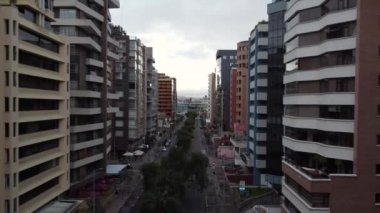 Ağaçlarla çevrili asfalt bir caddenin detayları. Arka planda bulutlu binalar, şehrin yapısı ve yaşam tarzı.