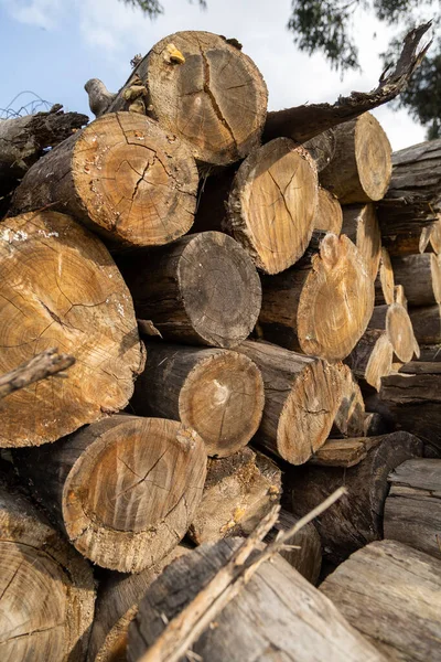 Wood Logs Cut Arranged Pile Use Firewood Background Concept Deforestation — Stock Photo, Image