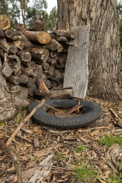 Pile Firewood Organized Pile Next Tree Trunk Abandoned Tire Floor — Stock Photo, Image
