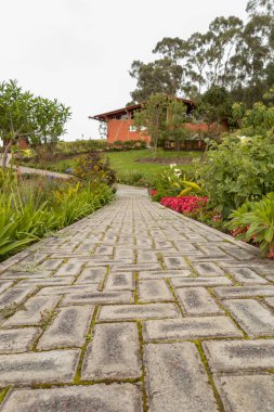 Bahçesi ve çevresi doğa olan bir parktaki patikanın ayrıntıları, arka planda gündüzleri rahat bir ev, manzara ve bitkiler turistik bir yerde.