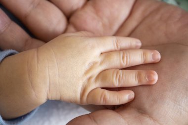 Yeni doğmuş bir bebeğin, aile sevgisiyle yeni bir hayatın masumiyetini ve korunmasını sağlayan ebeveynlerin ellerinde.