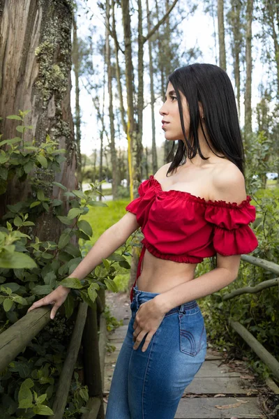 一位身材纤细迷人 一头乌黑直发的年轻女子站在森林中央的一座木桥上 身穿休闲装 牛仔裤 美丽和自然 — 图库照片