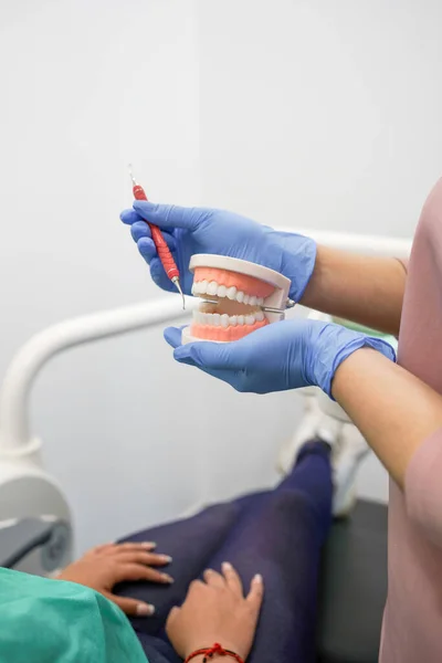 歯科補綴物 歯茎を示す専門家との歯科室内を保持し 表示し 健康と健康 専門的なオブジェクトをかむ — ストック写真
