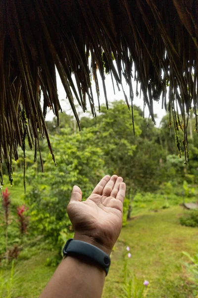 showing the palm of a hand, in the background a lush tropical forest, nature in the day, tourist lifestyle