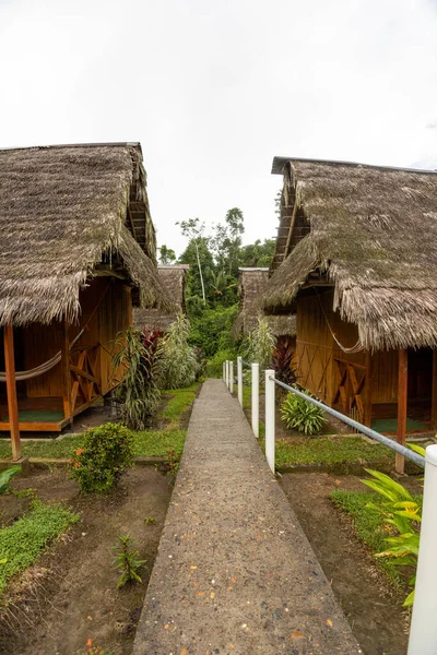 path surrounded by plants at the entrance of thatched roof cabins, traditional architecture in the countryside, style and decoration, hotel