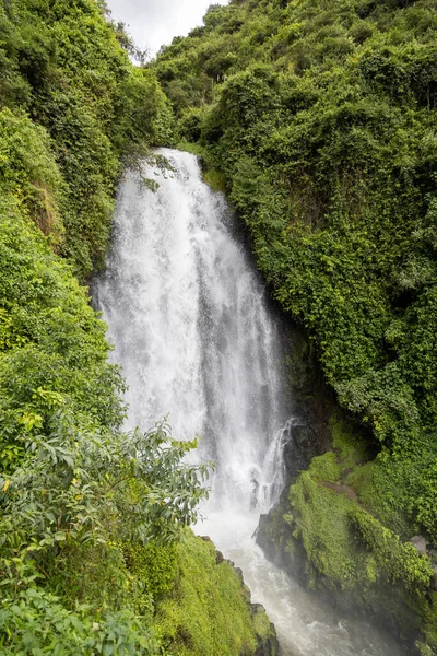 Landscape Waterfall Plants Beauty Nature River Day Scene Tranquility — Stockfoto