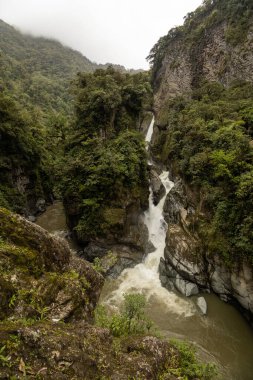 natural tourist destination, scene of a waterfall on a mountain and forest around, beauty of nature in the day, landscape as a background