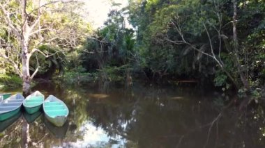 landscape of a river with empty canoes parked, next to a tropical jungle, beauty of nature as wallpaper in the day, scene of tranquility and natural tourist destination