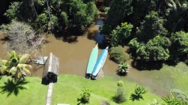 Kanolar ve ağaçlarla çevrili bir gölün panoramik görüntüsü, doğa sahnesi, kırsal alanda geleneksel ulaşım.