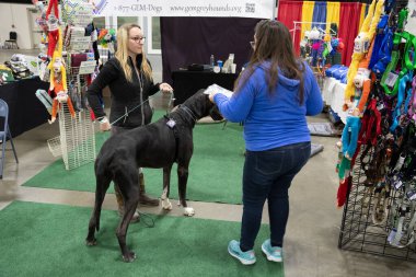 Novi, Michigan 'daki Suburban Collection Showplace' de 12-04-2021 Novi Hayvan Fuarı