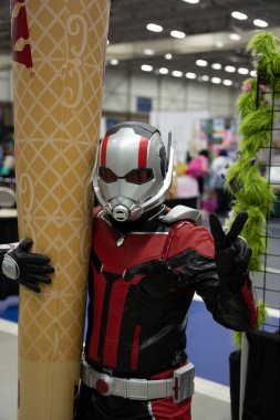 Warren, Michigan 'daki Great Lakes Comic kongresi 02-26-2022