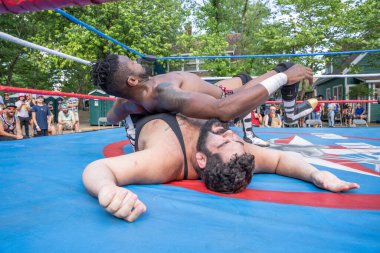 Lucha Libre Pro Wreslting, 26 Haziran 2022 'deki Michigan Taco Festivali' nde canlı performans sergiliyor.
