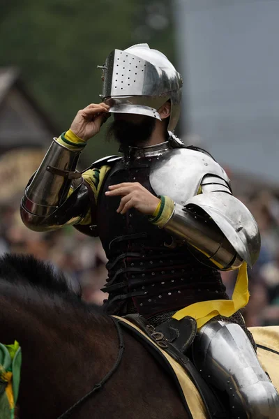 2022 Michigan Renaissance Festival Viking Εισβολή Στο Holly Michigan Στις — Φωτογραφία Αρχείου