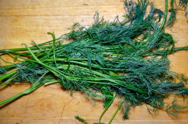 Tahta kesme tahtasının üzerinde dereotu demeti