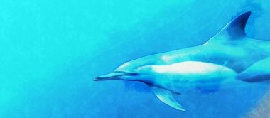 Okyanustaki güzel yunus. Panoramik manzara. Deniz seyahati teması üzerine sanatsal çalışma