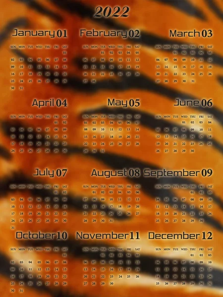 Kalender 2022 Monate Die Woche Beginnt Sonntag Textur Der Tigerhaut — Stockfoto