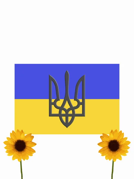 Ukrán Címer Nemzeti Zászló Díszített Napraforgó Renderelés — Stock Fotó