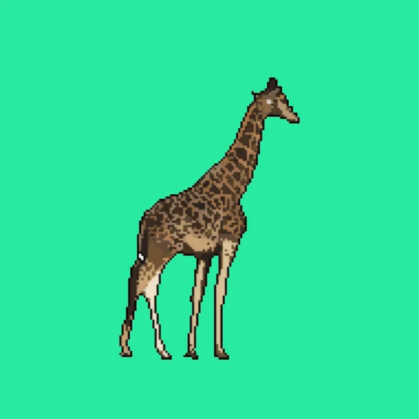 Pixel Konst Giraff Grön Bakgrund Rendering — Stockfoto
