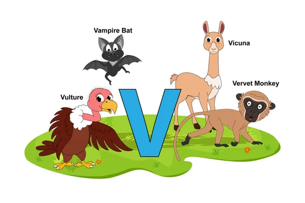 字母V的可爱动物名 — 图库矢量图片