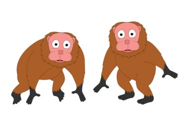 şirin uakari hayvan çizgi filmi basit vektör çizimi