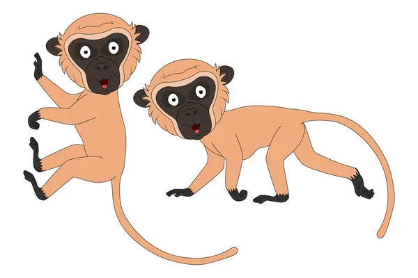 Bonito Vervet Macaco Animal Cartoon Simples Vetor Ilustração — Vetor de Stock