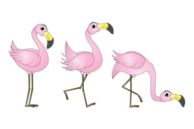 Şirin flamingo kuş çizgi filmi grafiği