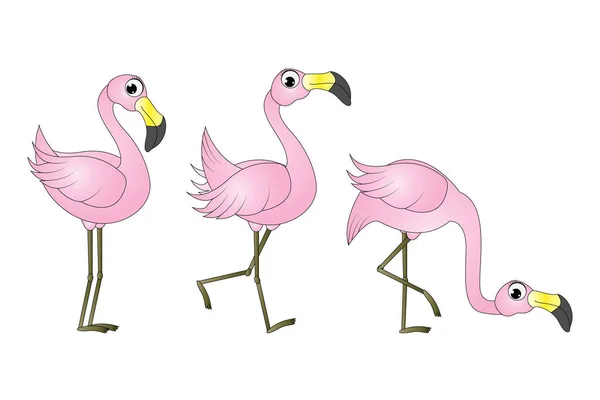 Bonito Flamingo Pássaro Cartoon Gráfico —  Vetores de Stock
