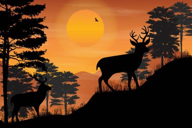 cute deer animal silhouette graphic
