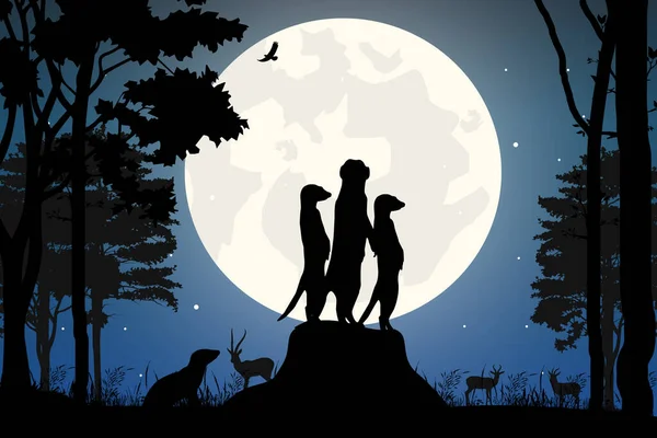 Schattig Meerkat Maan Silhouet — Stockvector