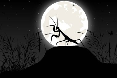 Cute mantis and moon silhouette graphic vector Cute mantis and moon silhouette graphic vector