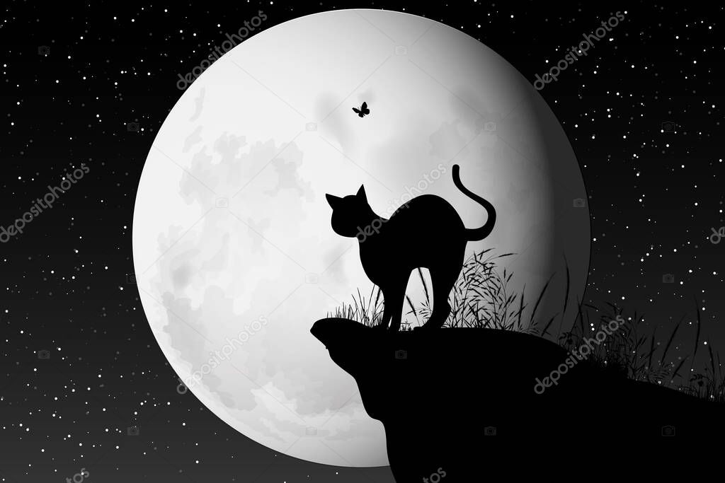 cute cat and moon silhouette