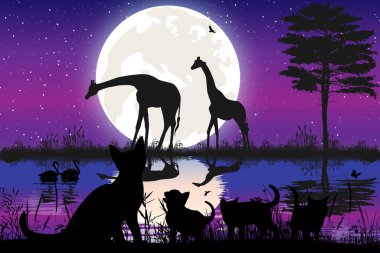 Tatlı kedi ve ay silueti