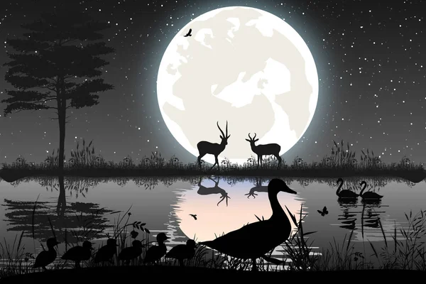Niedliche Ente Und Mond Silhouette — Stockvektor