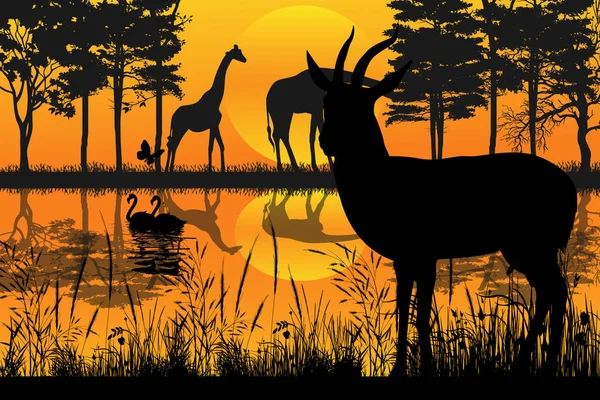 Cute Antelope Animal Sunset Silhouette — Wektor stockowy