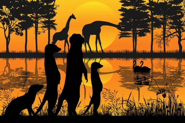 Cute Meerkat Animal Sunset Silhouette — Stockvector