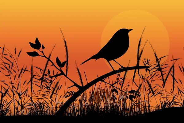 Cute Bird Silhouette Landscape Graphic — Stock Vector