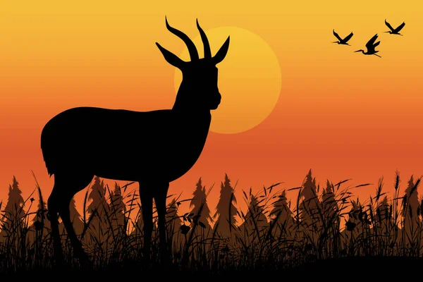 Cute Deer Silhouette Landscape Graphic — Vector de stock