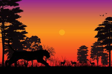 cute tiger in the jungle silhouette
