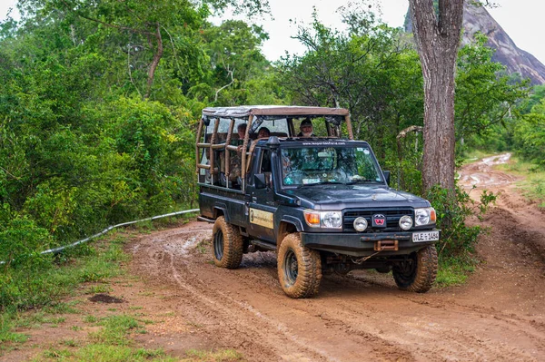 Jeep Safari Národním Parku Yala Srí Lanka — Stock fotografie