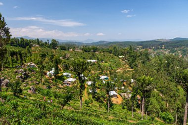 Sri Lanka 'nın muhteşem manzarası