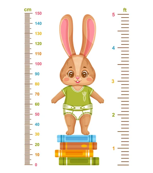 Kinder Höhendiagramm Mit Niedlichem Hasen Kinder Wachstumsmessung Meter Lineal Lustiges — Stockvektor