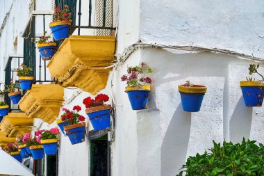 Cadiz caddesi, sıcacık bir yaz gününde güzel mavi tencerelerle süslenmiş..