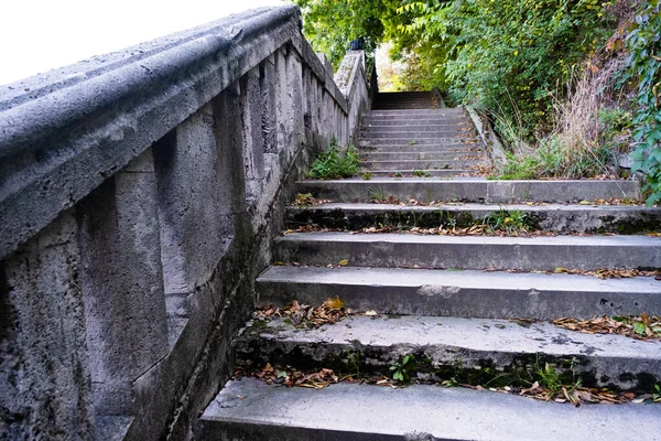 Eski adımlar. Sonbahar. Parktaki patika. Basamaklar yapraklarla kaplı..