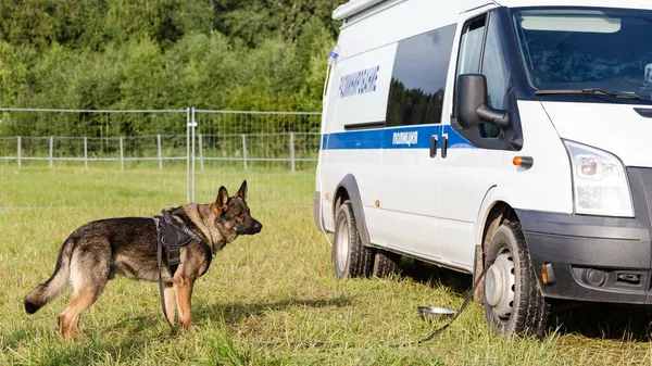 Tver Region, Rusya - 19.07.19: Rock festivali 