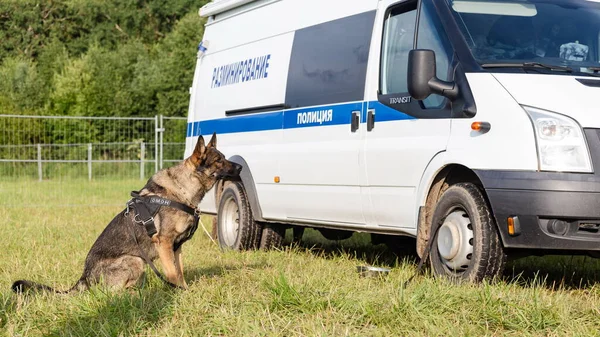 Tver Region, Rusya - 19.07.19: Rock festivali 