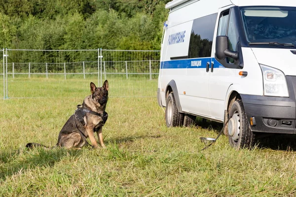 Tver Region, Rusya - 19.07.19: Rock festivali 