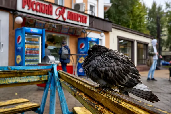 Voronezh Rusia 2021 Inundaciones Después Fuertes Lluvias Voronezh —  Fotos de Stock