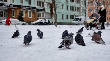 Voronezh, Rusya - 20.12.2021: Gerçek kar yağışı şehre vurdu