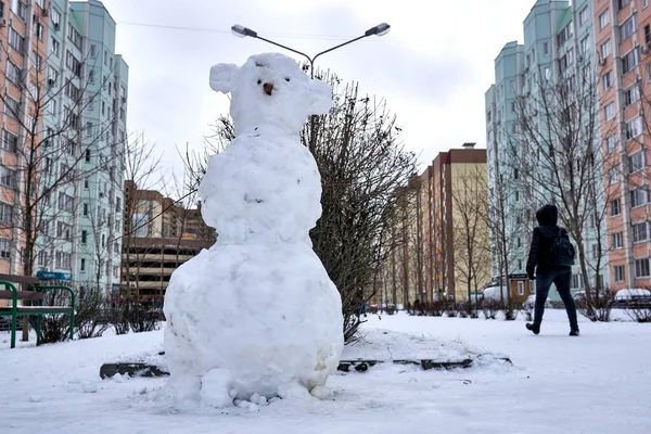 Voronezh Rusia 2021 Verdadero Invierno Nevado Golpea Ciudad —  Fotos de Stock